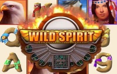 12Игровой автомат Wild Spirit — Играть на Вулкан Старс